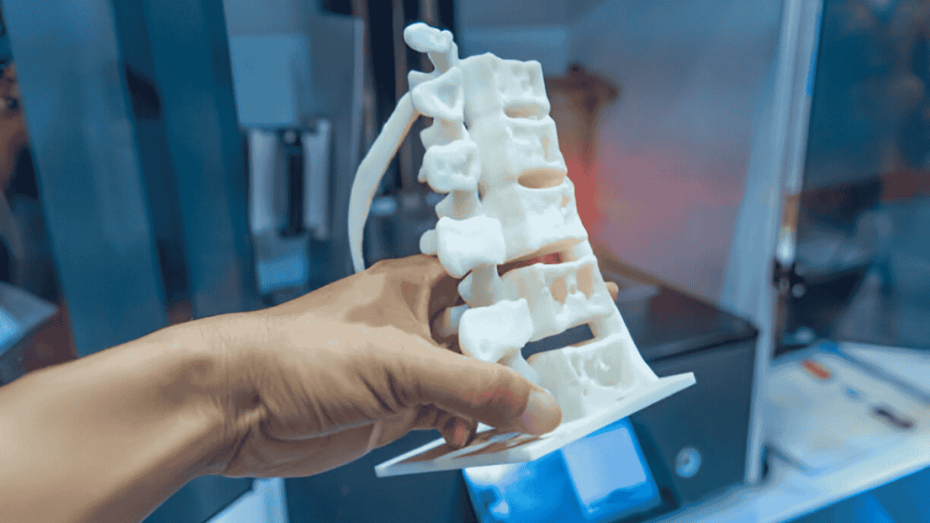 Human Spine 3D Printed
