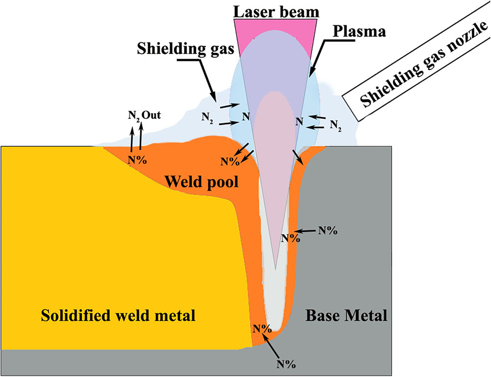 Porosity and Nitrogen Absorption